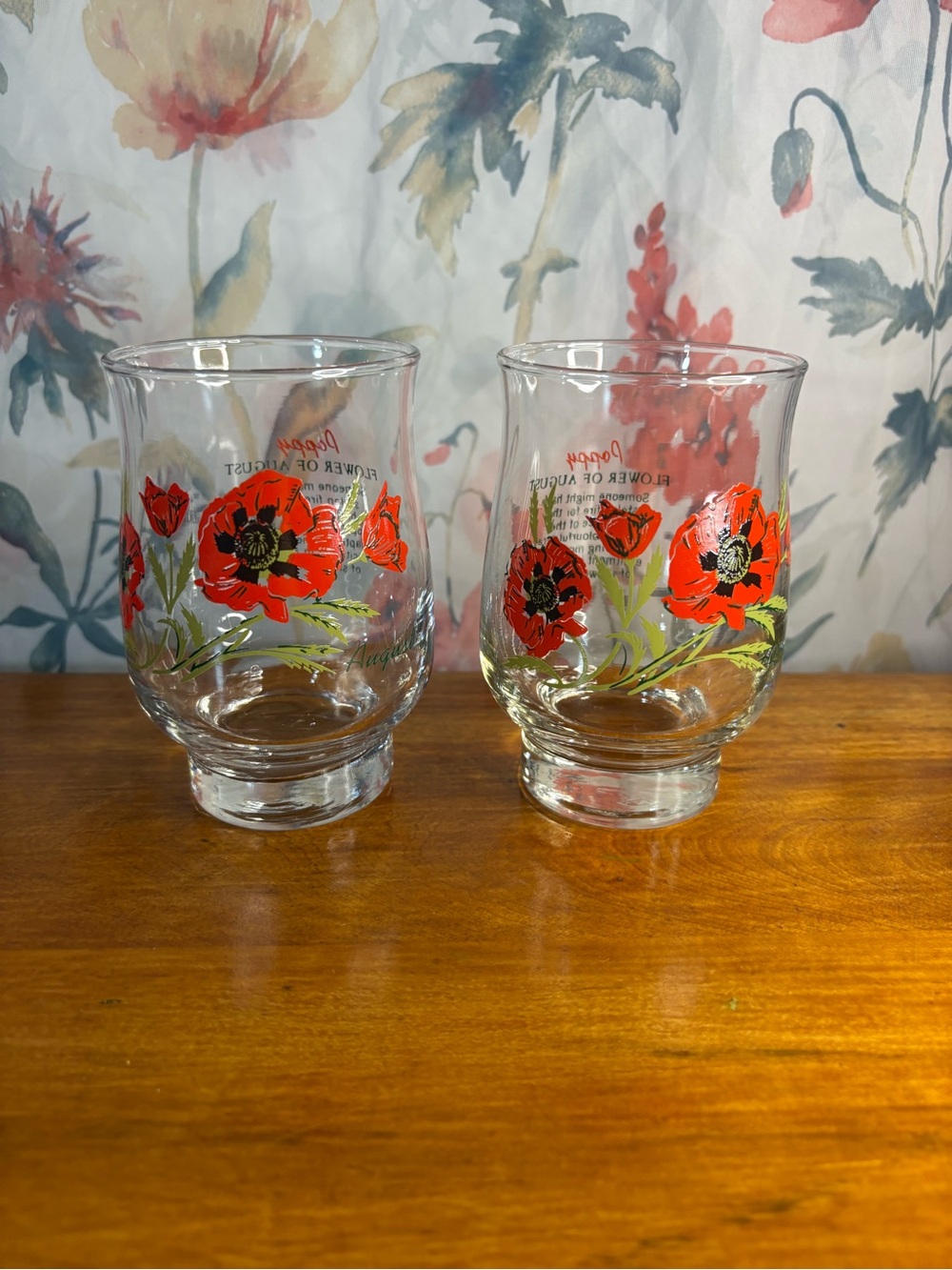Vintage Red Poppy Glass Tumbler Set - Floral Drinking Glasses